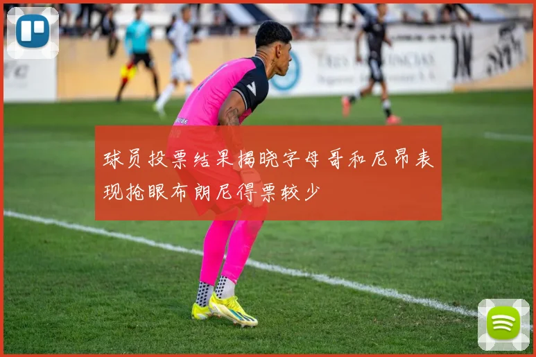 球员投票结果揭晓字母哥和尼昂表现抢眼布朗尼得票较少